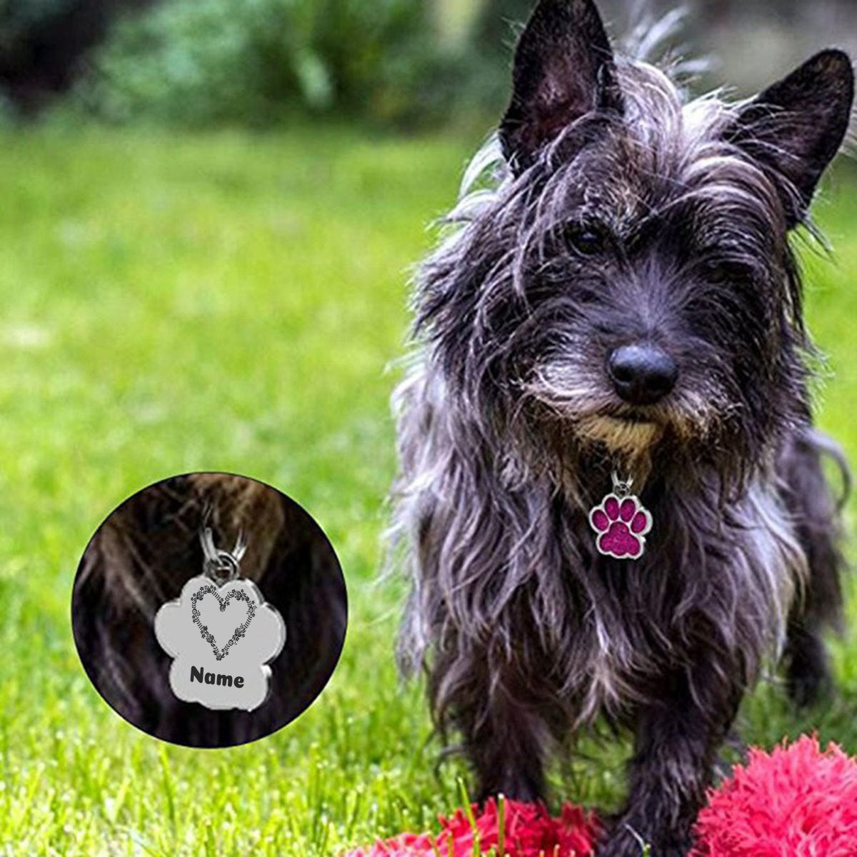 Personalized Pet Tag - Omtheo Gifts