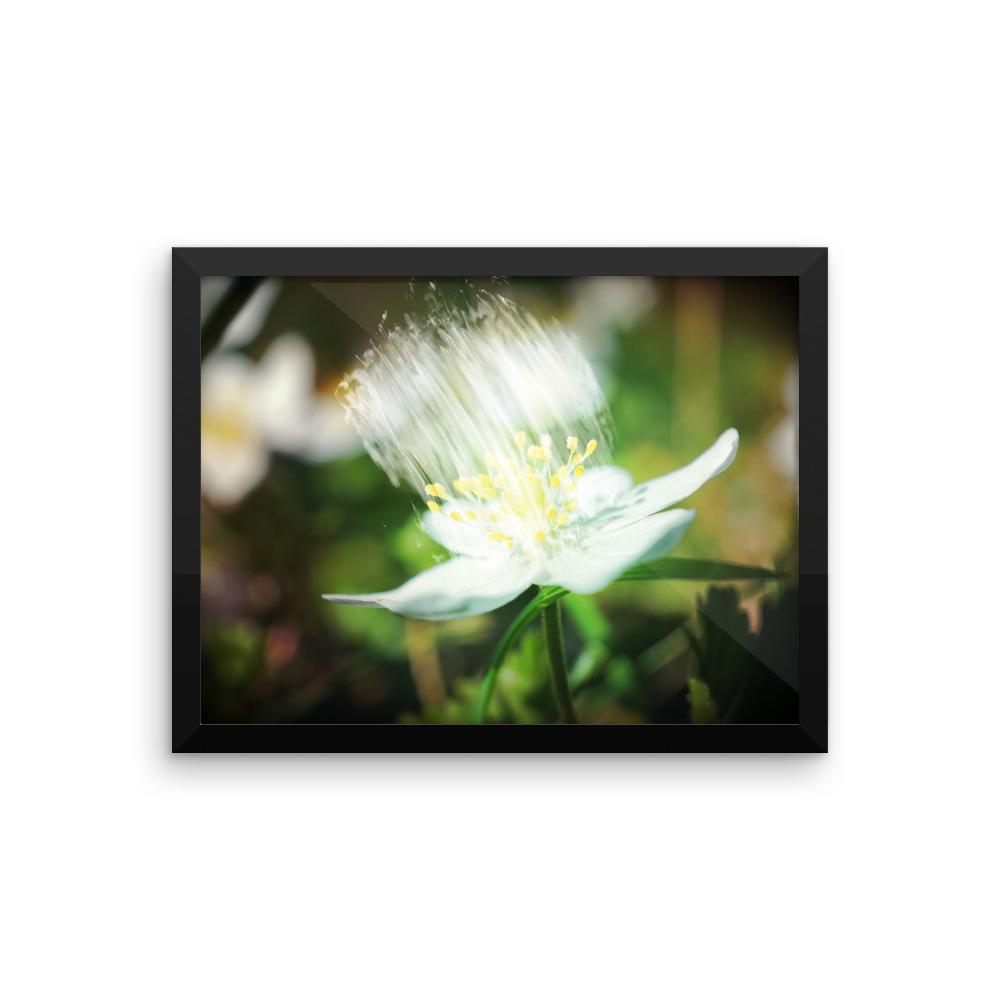 Framed poster featuring a flower with shower effect - Omtheo Gifts